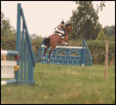 Honetbrook Lauranda Grade A Showjumper